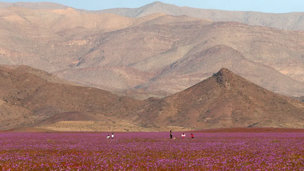 Desierto en Chile