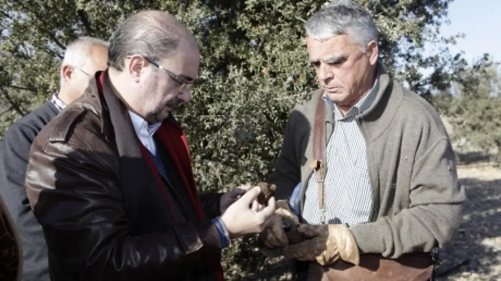El Presidente de Aragón visita Sarrión y el sector de la trufa.