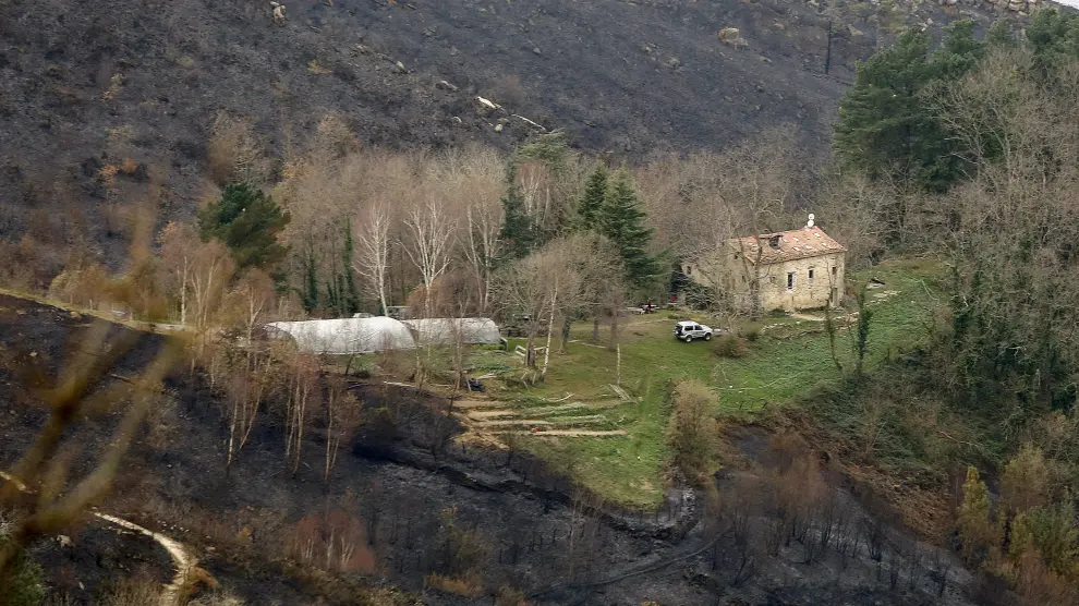 El incendio en el monte Igeldo estaba prácticamente extinguido esta mañana.