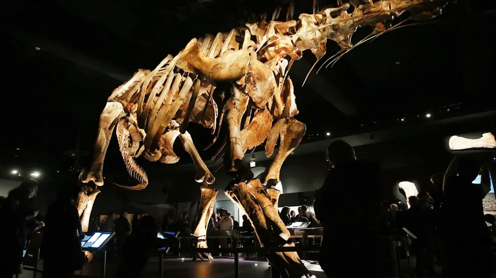 Nueva York exhibe la réplica de uno de los mayores dinosaurios jamás descubierto