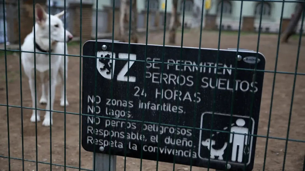 Zona de suelta de perros situada en el campus de la Universidad de Zaragoza