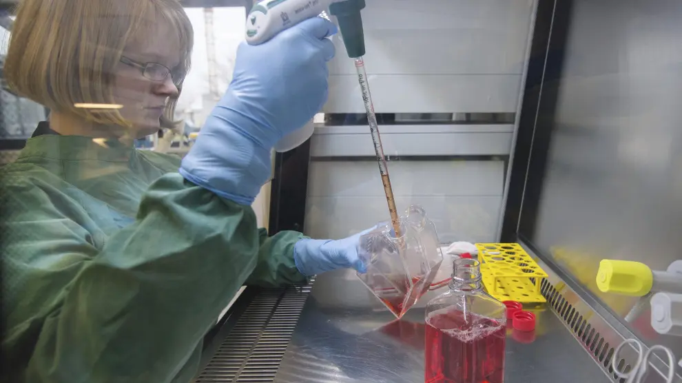Un empleado de laboratorio cultiva células infectadas por el virus del Zika en Dassow (Alemania).