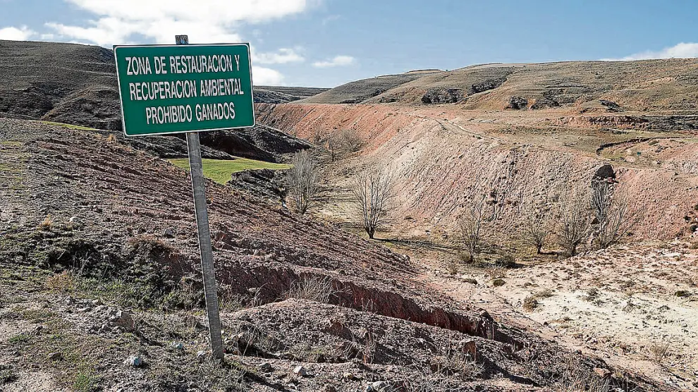 Una zona de incipiente restauración ambiental en los desmontes de Riodeva.