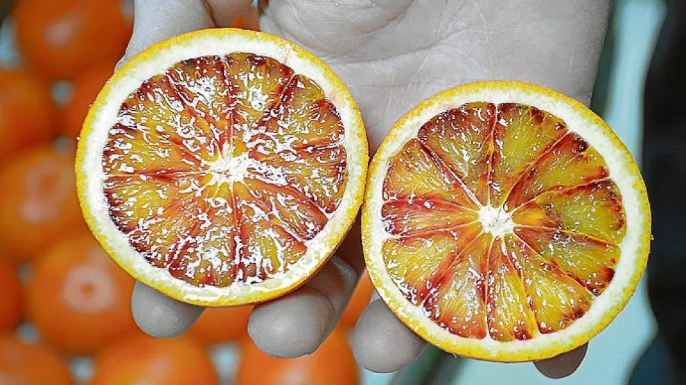 El punto de amargor y el pico de acidez que distinguen a estas naranjas no están hechos para todos los paladares.