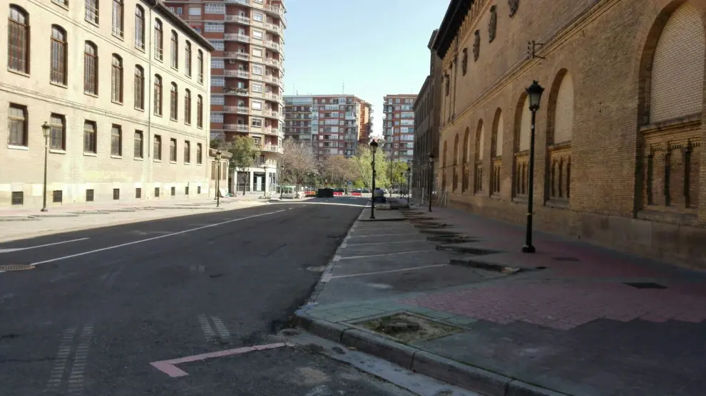 Árboles talados en la calle Moret de Zaragoza.