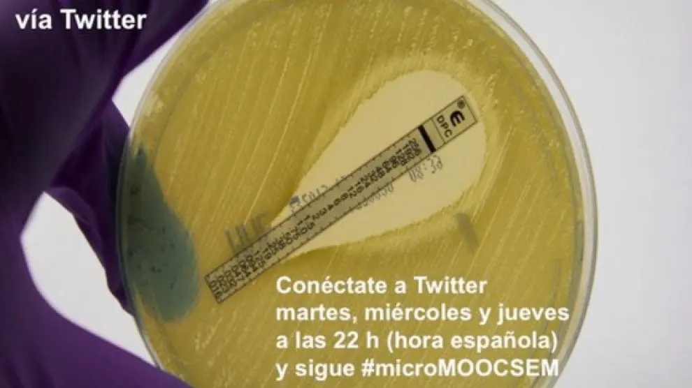 El día 5 de abril comienza el primer curso 'online' de Microbiología vía Twitter.