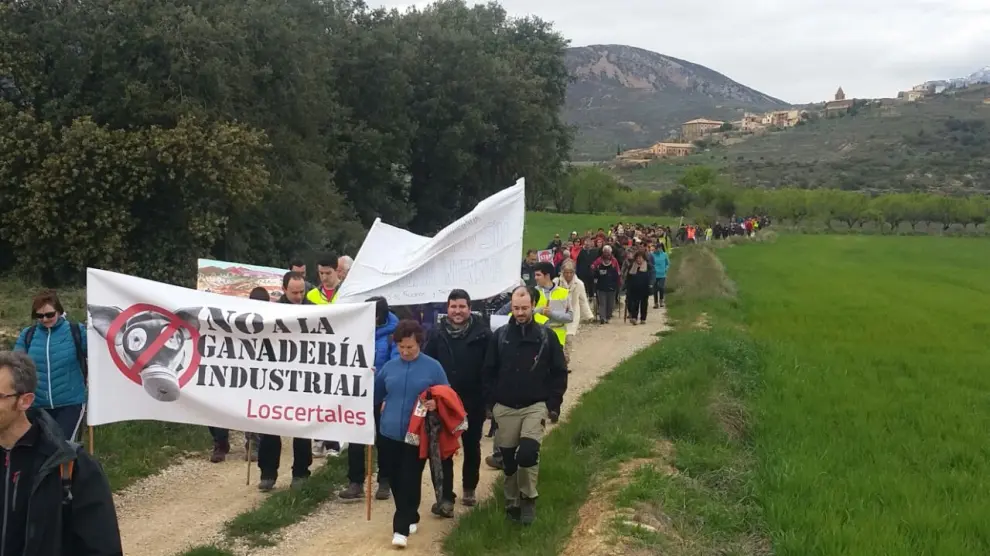 Manifestación por una ganadería sostenible en Loporzano