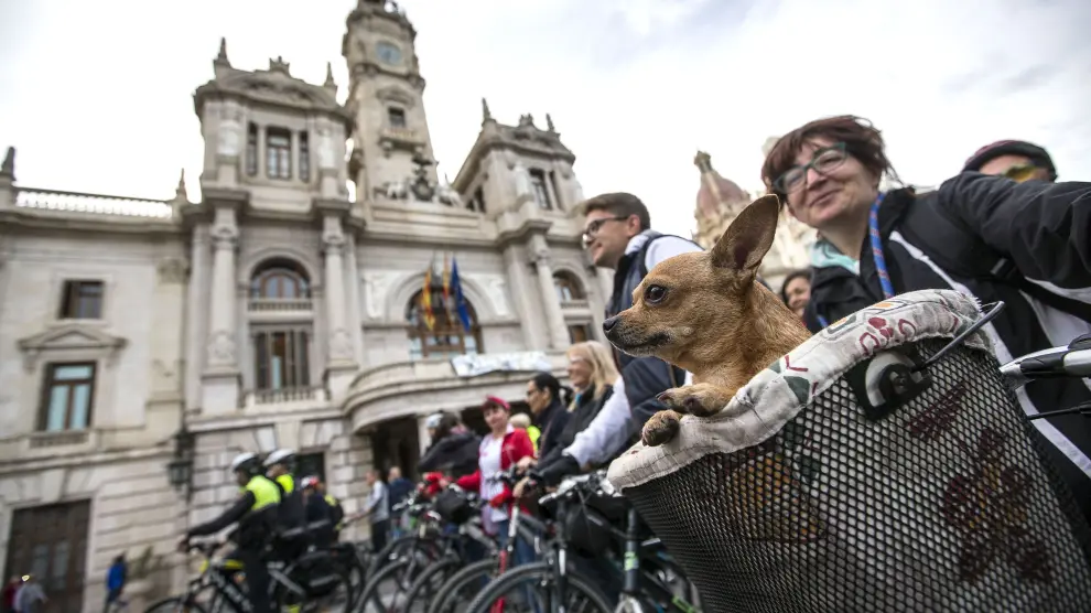 Bicicletación en el centro de valencia con motivo del Día Mundial de la bicicleta