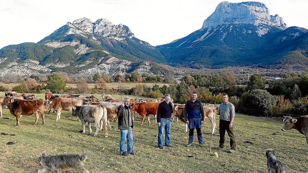 Los ganaderos de montaña denuncian la indefensión por la exclusión de la PAC