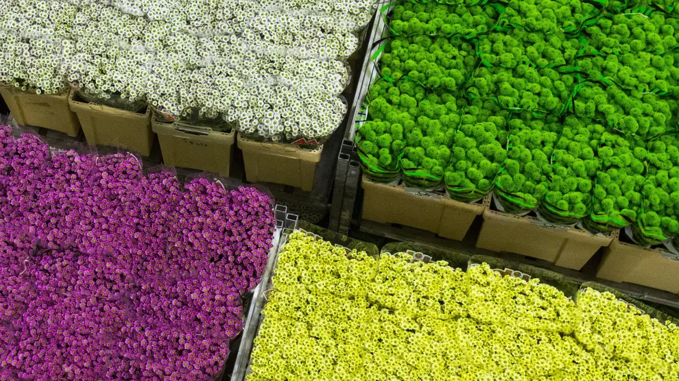 Flores en el mercado Royal FloraHolland, en la localidad holandesa de Aalsmeer.