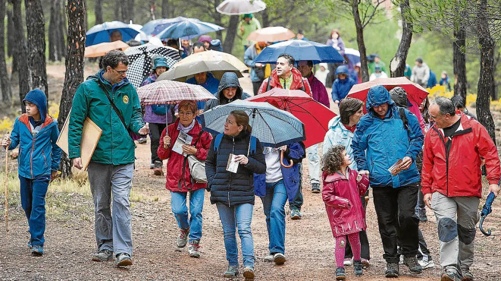 La lluvia no impidió que la excursión contara con numerosos participantes.