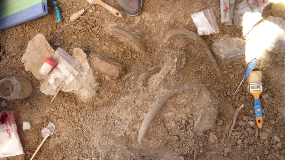 Trabajos de excavación de paleontólogos de Zaragoza y País Vasco en el Sobrarbe en busca de restos de sirenios.
