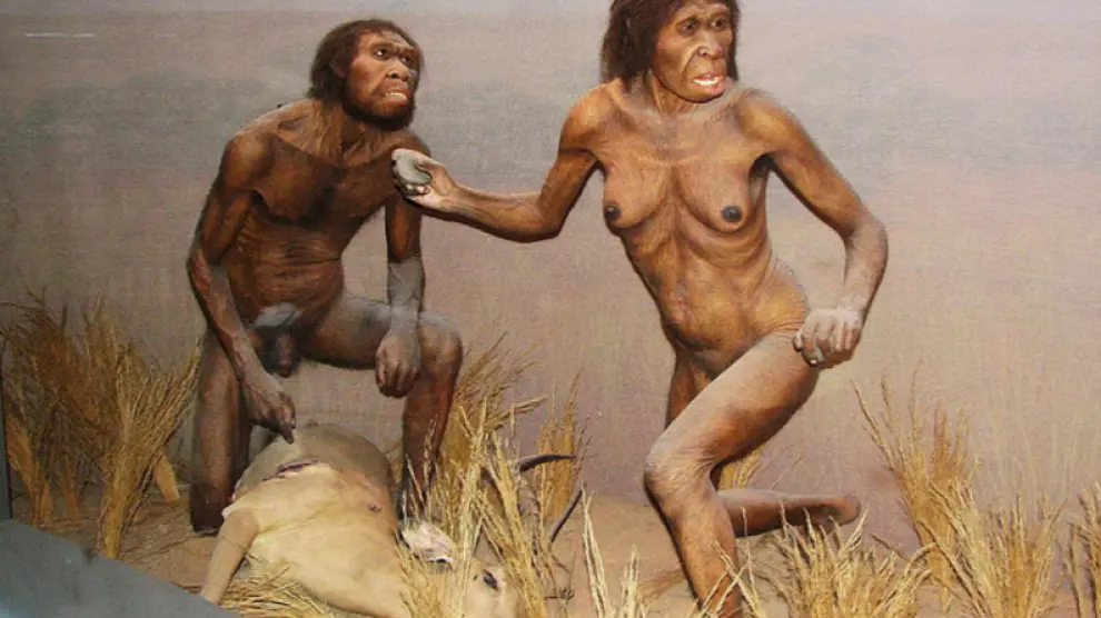 Imagen del Homo erectus