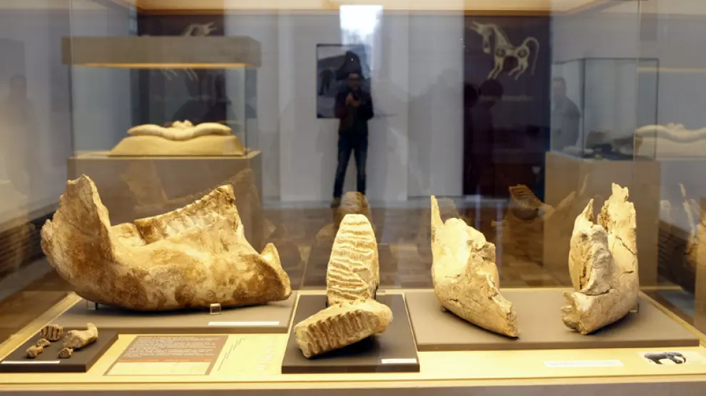 Una de las exposiciones del Museo Numantino