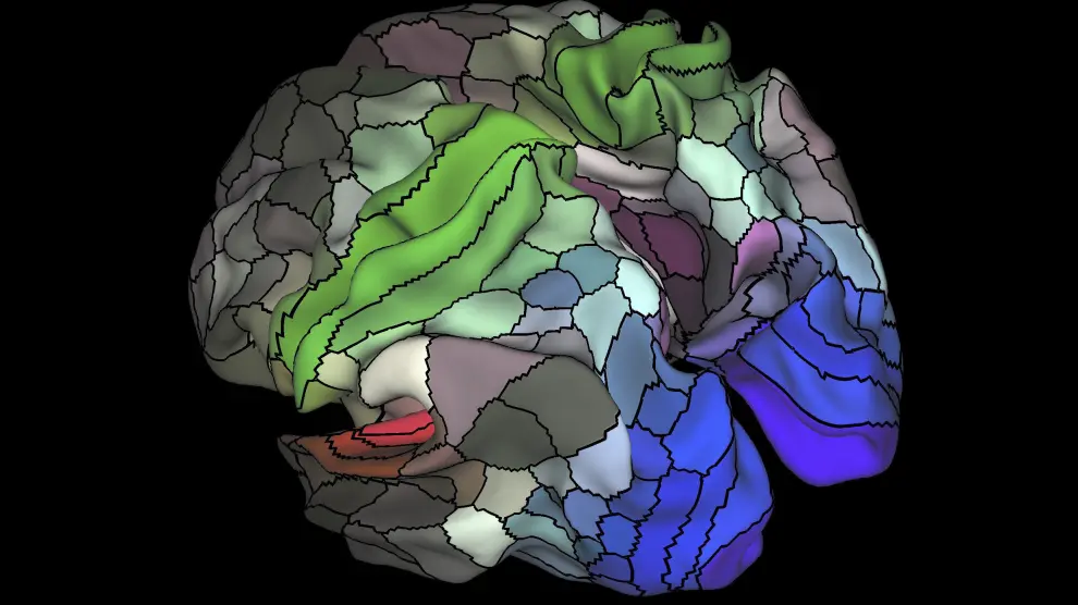 Un mapa identifica 100 regiones desconocidas del cortex