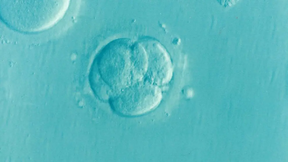 La quimioterapia puede afectar a los óvulos y producir infertilidad a las mujeres.