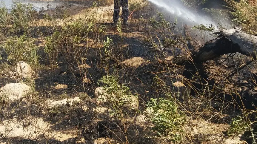 Los Bomberos de la DPZ sofocan un incendio en El Burgo de Ebro