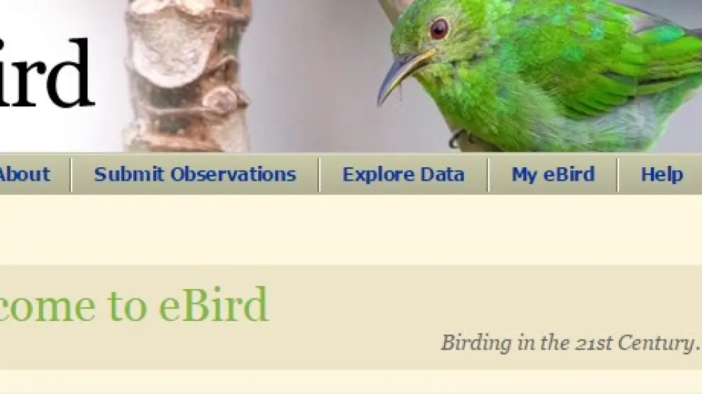 e-Bird es una aplicación gratuita.