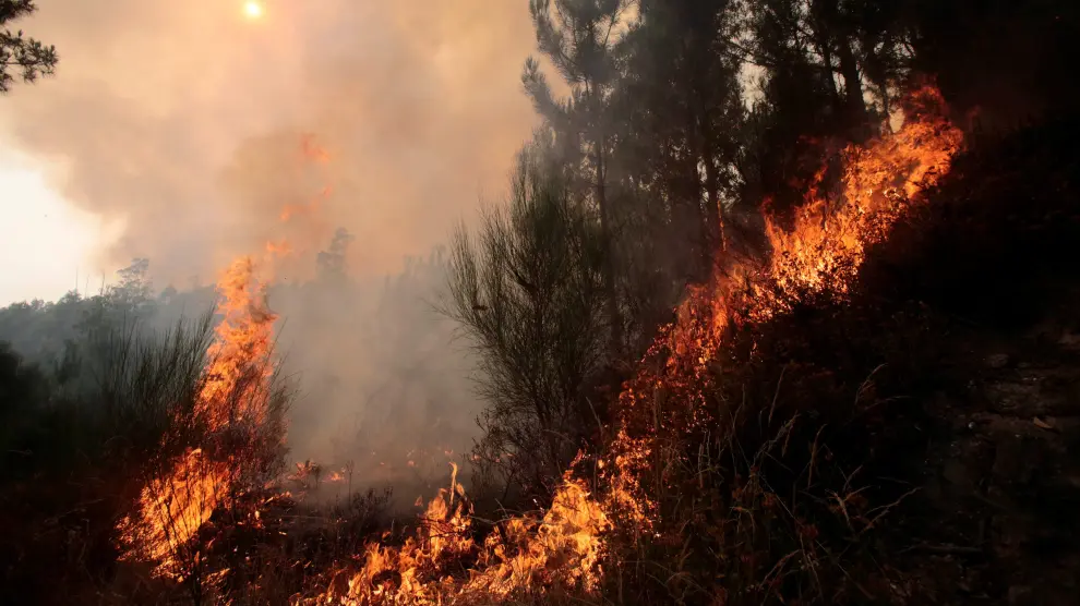 Nueve incendios siguen activos en Galicia, cuatro con riesgo para población