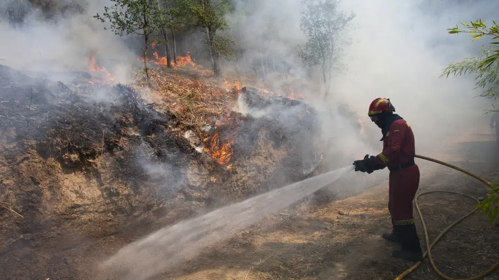 Galicia lucha sin descanso contra los incendios, la mayoría intencionados