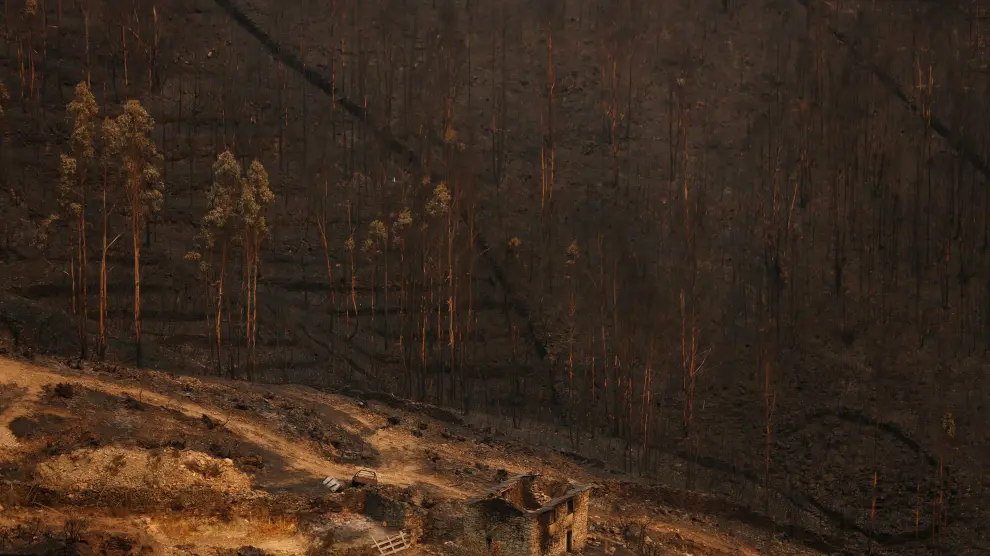 Portugal se vio afectado la semana pasada por una oleada de incendios que castigó especialmente el norte