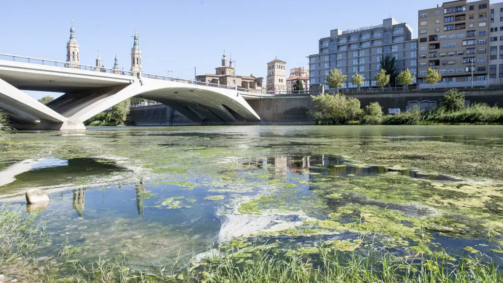 El Ebro a su paso por el Puente de Santiago.