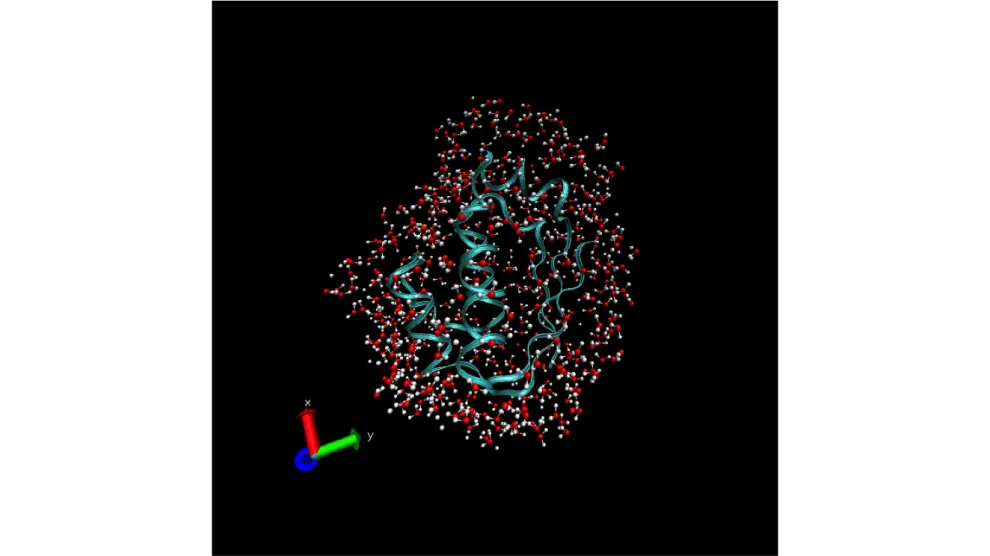 La física del proceso. En la figura grande, la proteína aparece en color azul rodeada de los átomos de oxígeno e hidrógeno (composición del agua). Al lado, una molécula de agua interrelacionándose con otras.