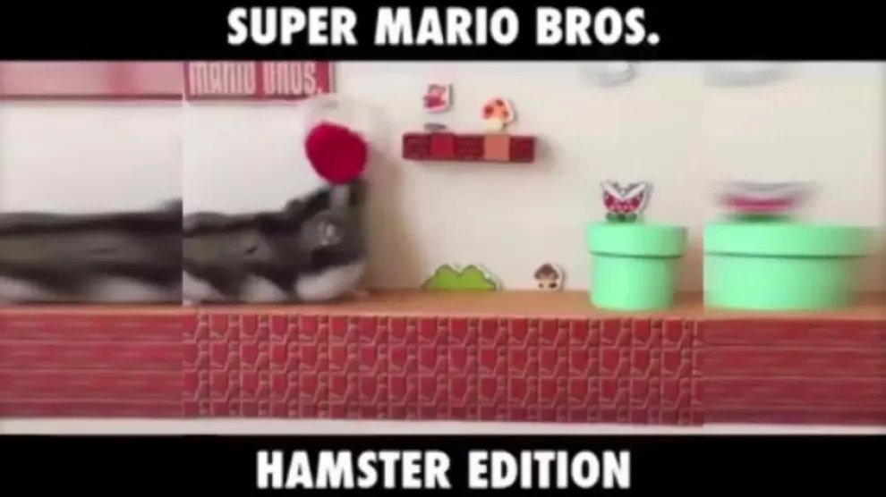 Hamster Mario Bros