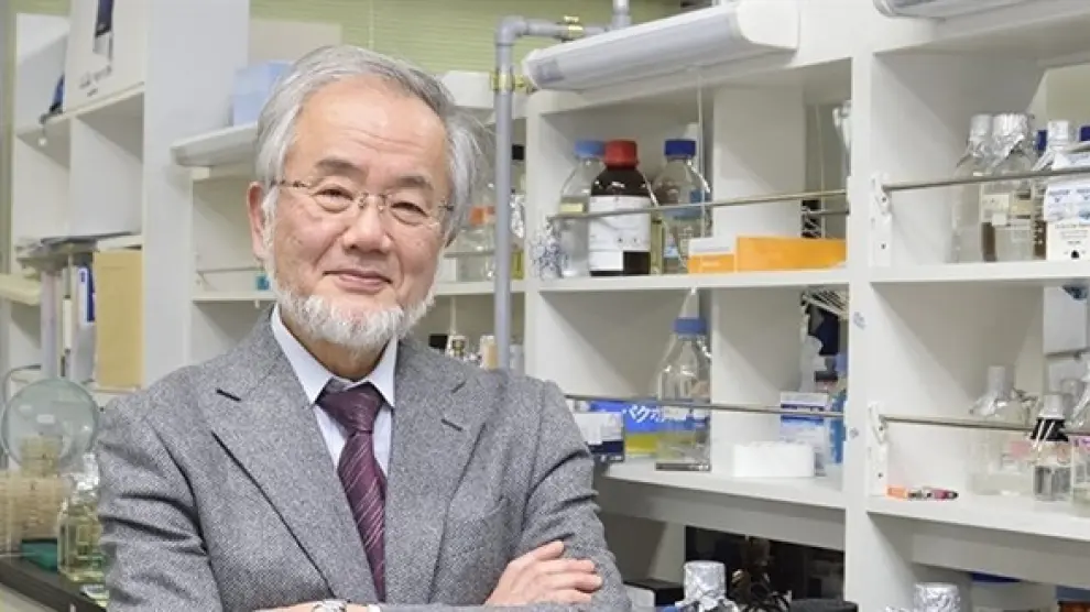 El japonés Yoshinori Ohsumi, Nobel de Medicina.