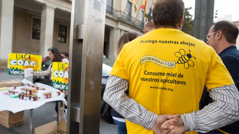 Apicultores aragoneses se manifestaron en la plaza del Pilar para reclamar un etiquetado transparente en la miel.