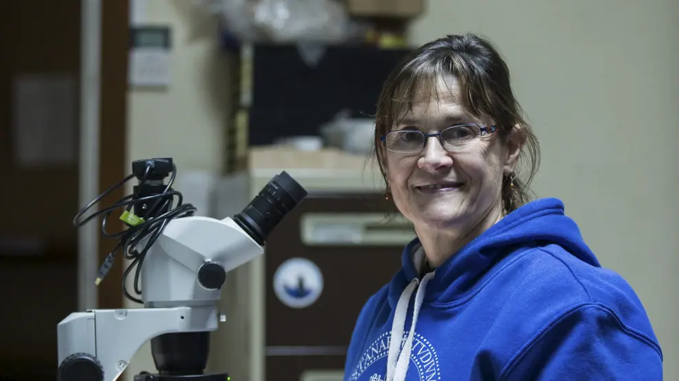 La paleontóloga Gloria Cuenca, nueva directora del Instituto de Investigación en Ciencias Ambientales.