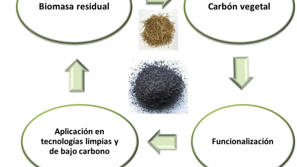 El proyecto Greencarbon desarrolla nuevo conocimiento y tecnología para los carbones obtenidos a partir de biomasa.