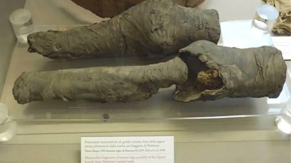 Piernas momificadas que, según los arqueólogos, pertenecen a la reina egipcia Nefertari, esposa de Ramsés II.