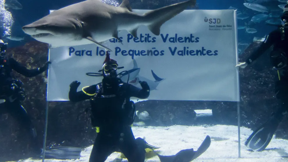 Antonio Orozco se baña con tiburones por una buena causa.