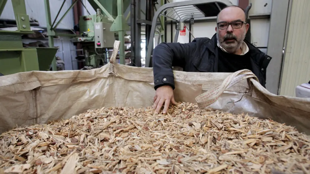 El director del Ceder-CIEMAT de Lubia, Miguel Latorre, inspecciona material para biomasa