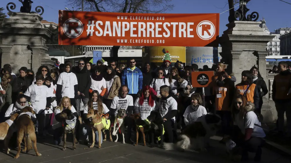 Sexta edición consecutiva de la carrera 'San Perrestre', organizada por a protectora de animales El Refugio.