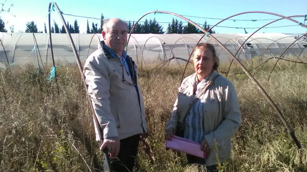 León Pescador y Paz Calvo, propietarios de un huerto en Montañana que denuncian el impago del alquiler de los arrendatarios.