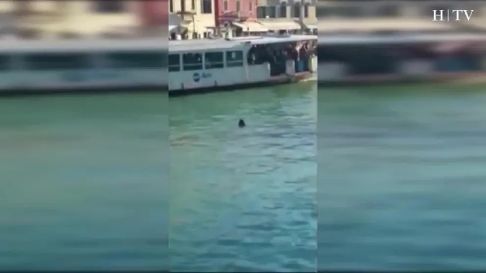 Un inmigrante se ahoga en el Gran Canal de Venecia