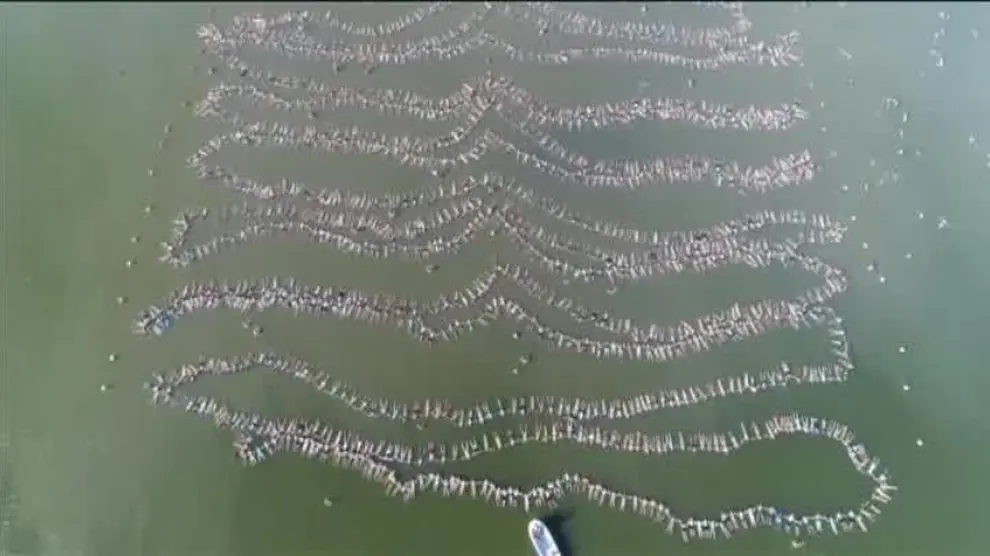 Dos mil personas flotan de la mano en Argentina