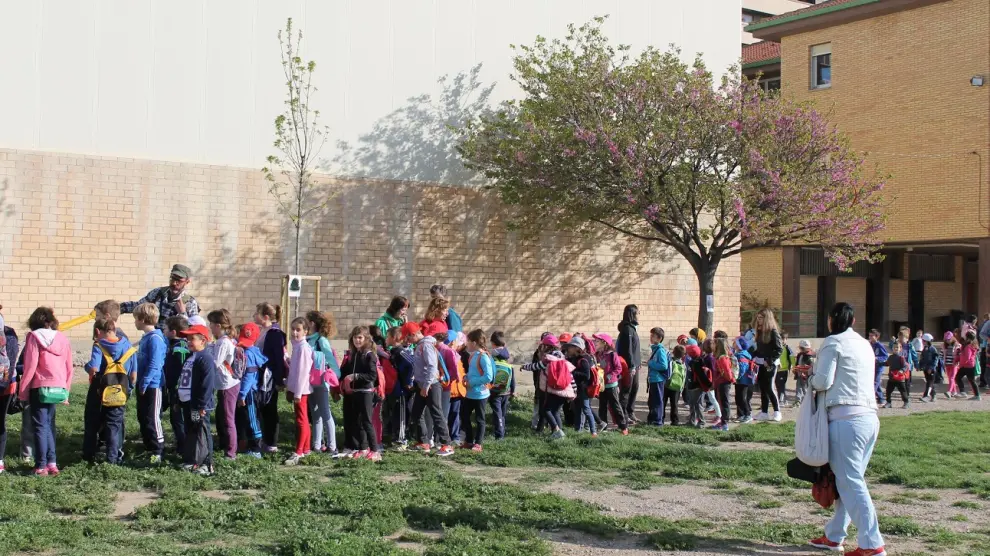 Huerto en el colegio Alcoraz de Huesca