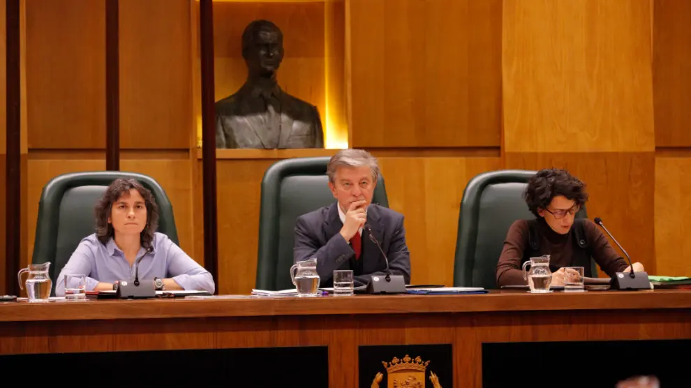 Pleno del Ayuntamiento de Zaragoza este viernes.