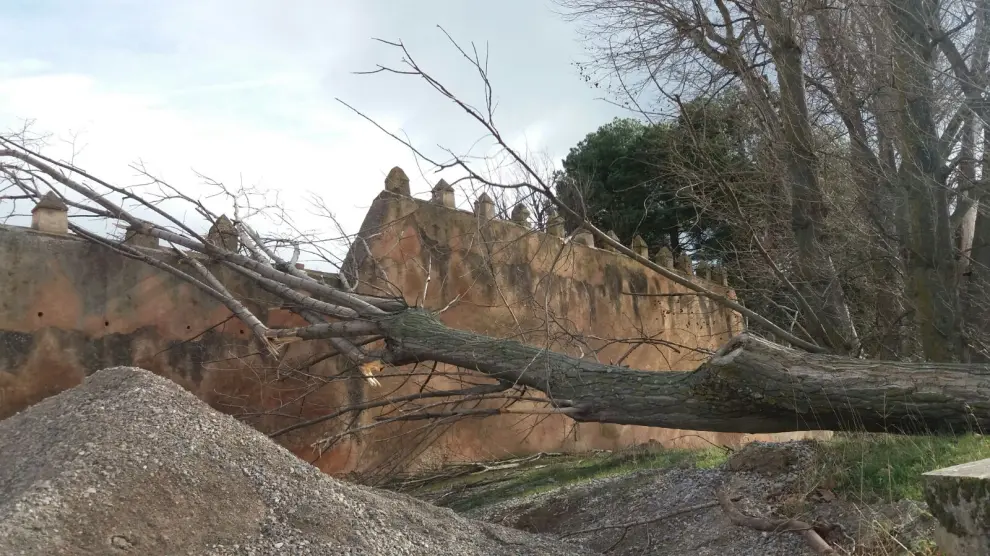 Destrozos causados por el viento en la provincia de Zaragoza