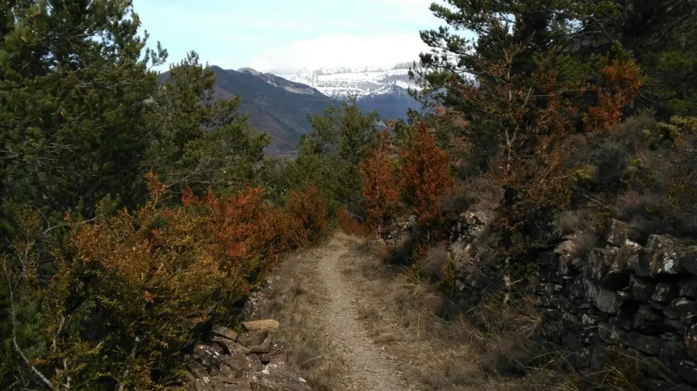 Imagen de un tramo del sendero turístico GR-15.