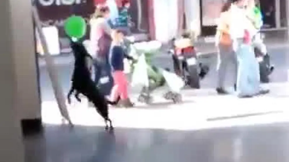 El juego casi humano de un cachorro con un globo
