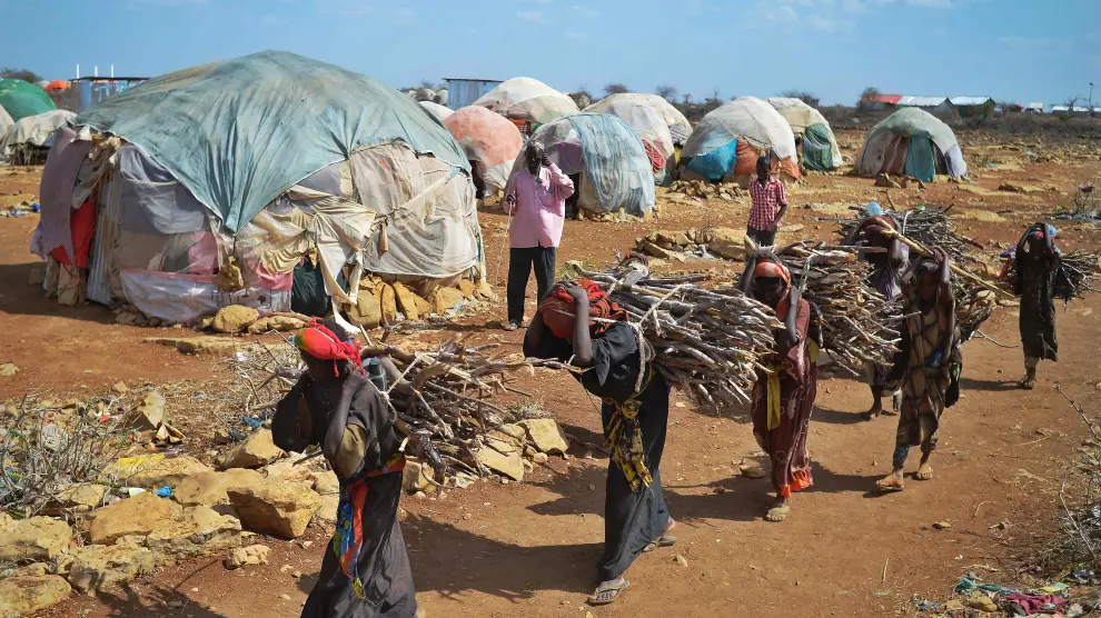 Un grupo de mujeres carga con leña en un campo de Somalia