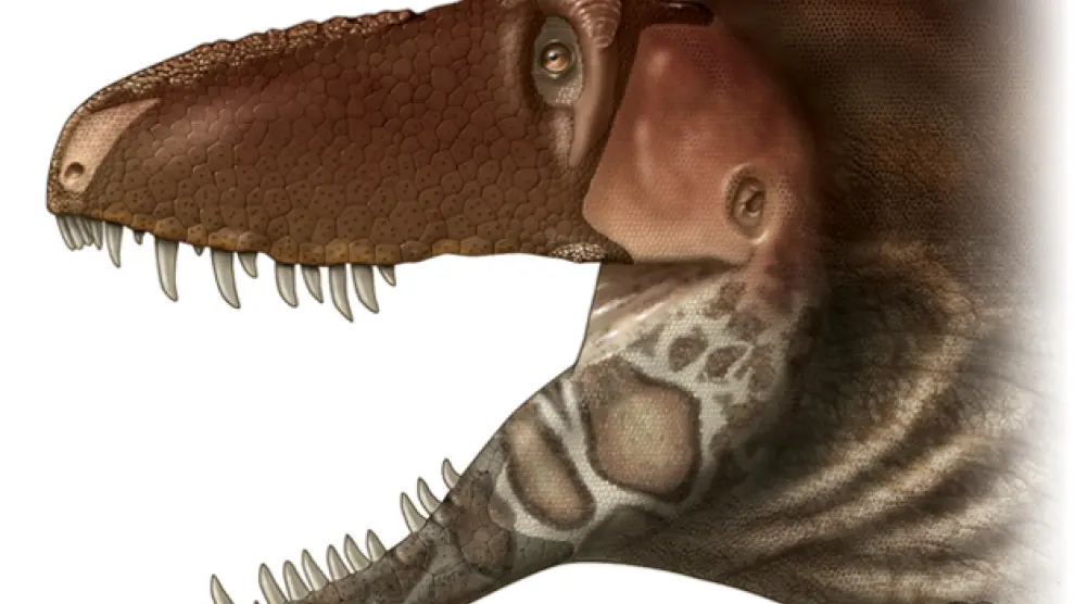 Recreación del 'Daspletosaurus horneri'.