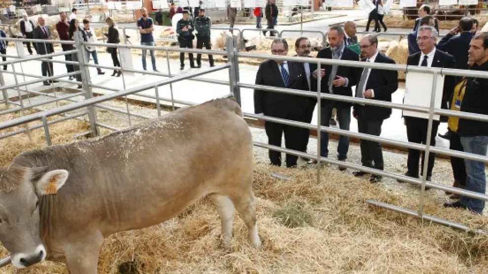 El Presidente de Aragón asiste a la inaguración del 1º Encuentro de Jóvenes Agricultores de Aragón.