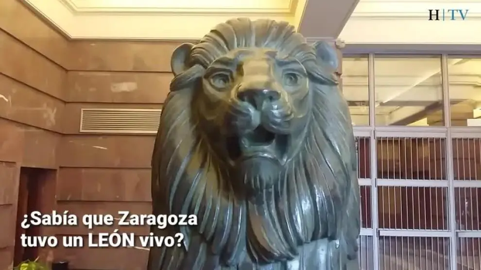 ¿Sabía que en Zaragoza hubo un león vivo?