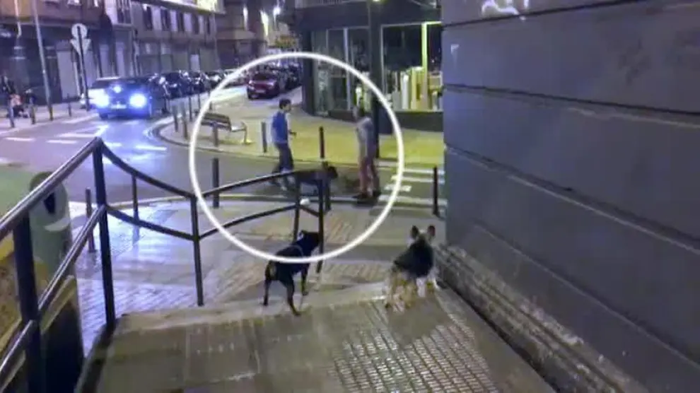 La brutal paliza a un hombre que paseaba a su perro