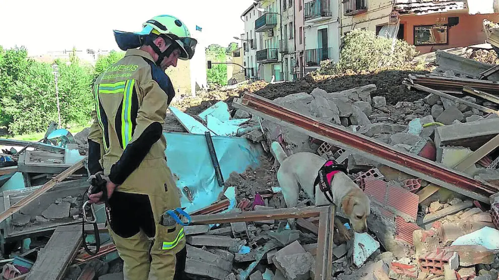La unidad canina de Zaragoza inspeccionó la zona con los perros para descartar personas sepultadas.